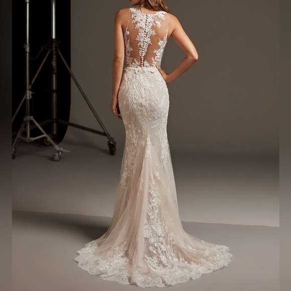 Pronovias EOS Lace Wedding Dress - Picture 12 of 16